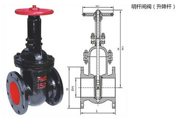 明桿閘閥結構圖